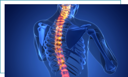 Daily Spine Surgery Recovery Journal